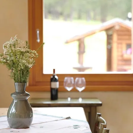 Terra Martina Apartment Livigno